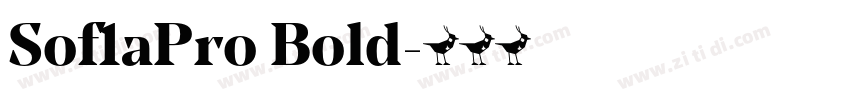 Sof1aPro Bold字体转换